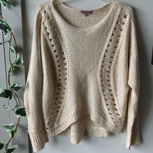 Francesca’s Harper Hi-Lo Sequin Sweater • Small